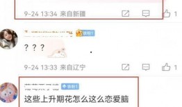 爆料张凌赫退学原因视频,揭秘背后惊人内幕